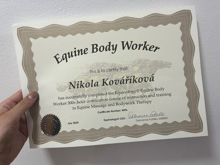 certifikát